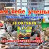 ��� ���� ������